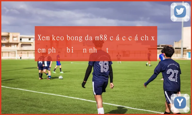 Xem keo bong da m88 các cách xem phổ biến nhất