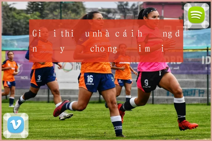 Giới thiệu nhà cái hướng dẫn đầy đủ cho người mới