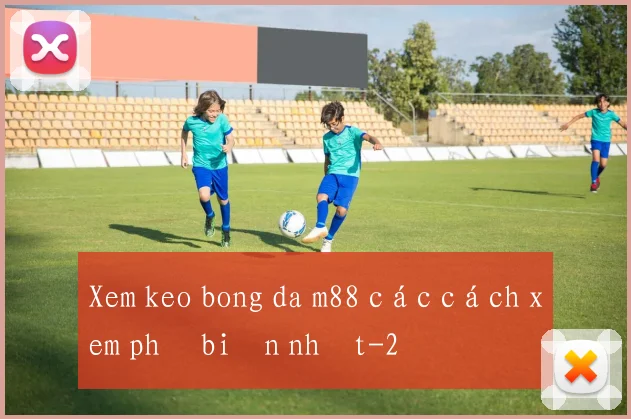 Xem keo bong da m88 các cách xem phổ biến nhất